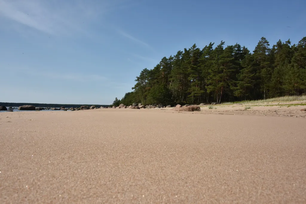 Коттедж Домик Коиви в Приморске — Приморск