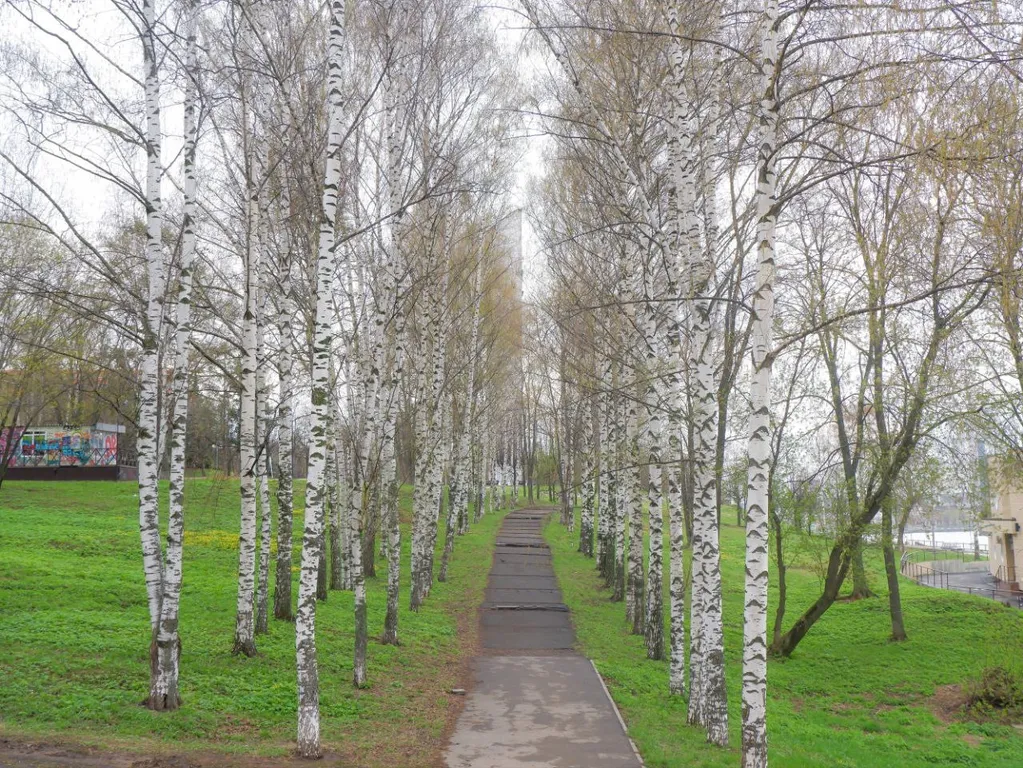 Новая дизайнерская квартира с видом на пруд