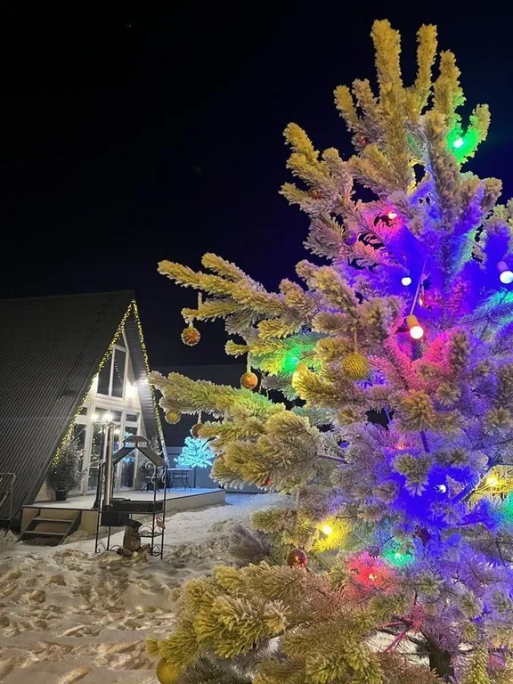 Уютный, современный домик в стиле а-фрейм