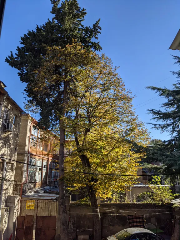 Уютнная студия в старом городе