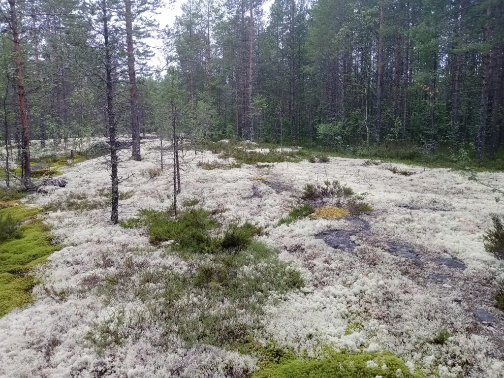 Отдых на Белом море