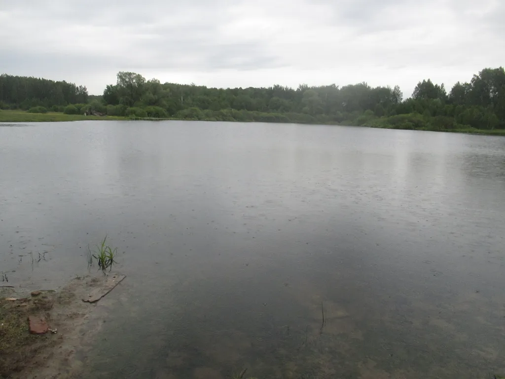 Усадьба в заповеднике