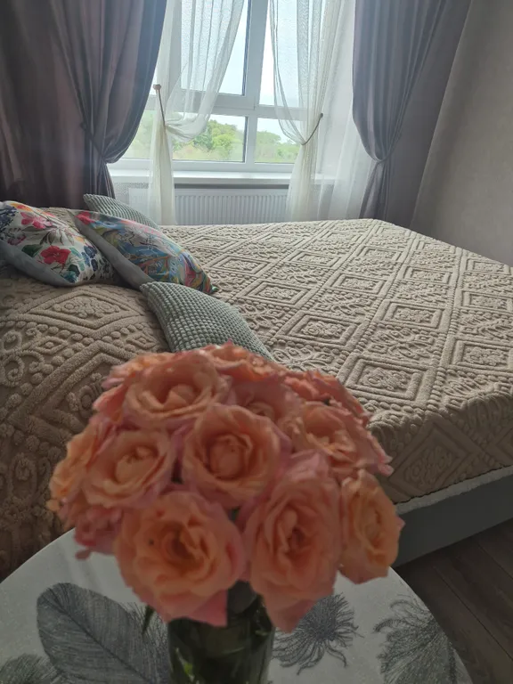 Квартира Уютная студия с потрясающим видом на море и Приморский парк — аренда посуточно в Таганрог