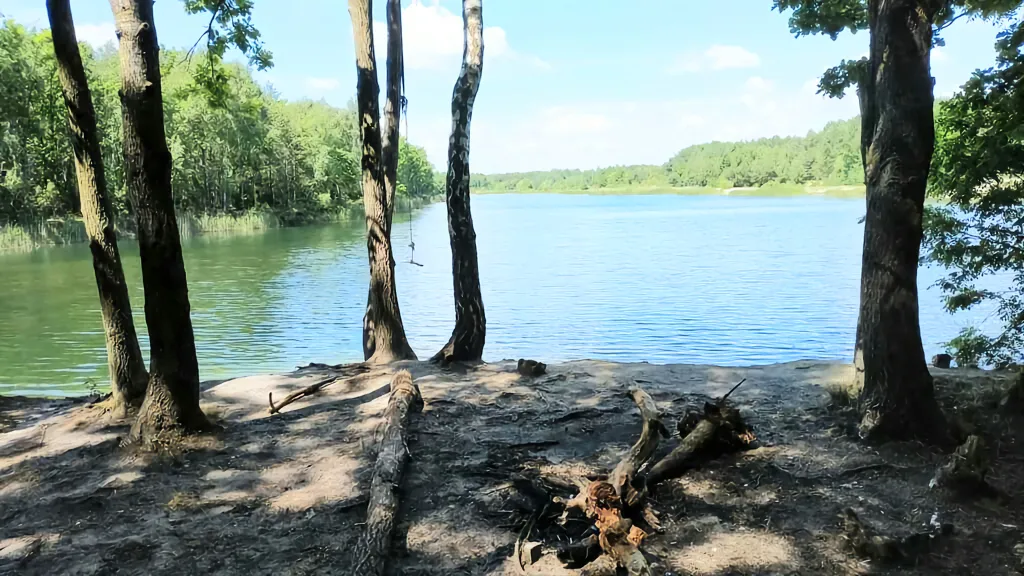 Новый комфортный дом с сауной в экозоне Бреста Красный двор