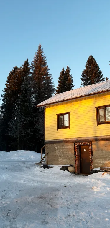 Уютный домик у леса