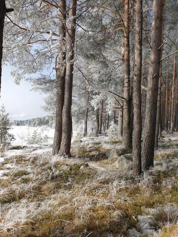 Семейный номер комфорт 2 ком. Вид на озеро и парк, в гост. Доме ранта