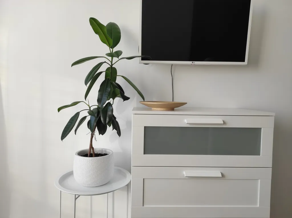 Стильный Латте в центре