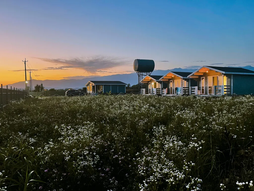 Роза Ветров