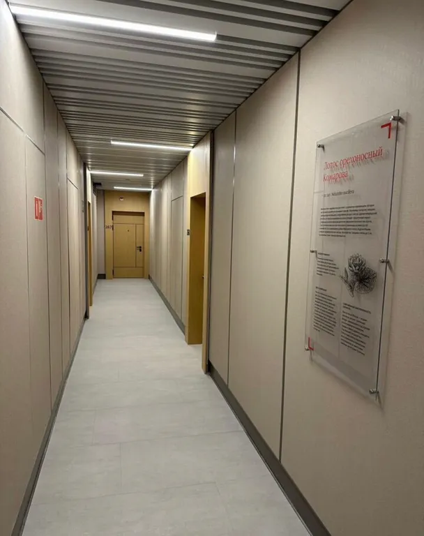 Уютная студия в ЖК Новатория