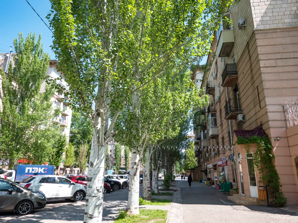 Величественная сталинка на набережной вокруг достопримечательностей