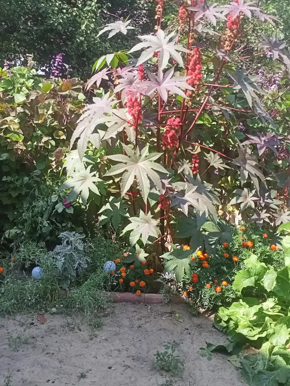 Апартамент в частном дворике