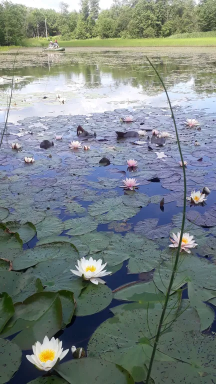 Коттедж Дом с камином и панорамным видом на закат — Шаховская