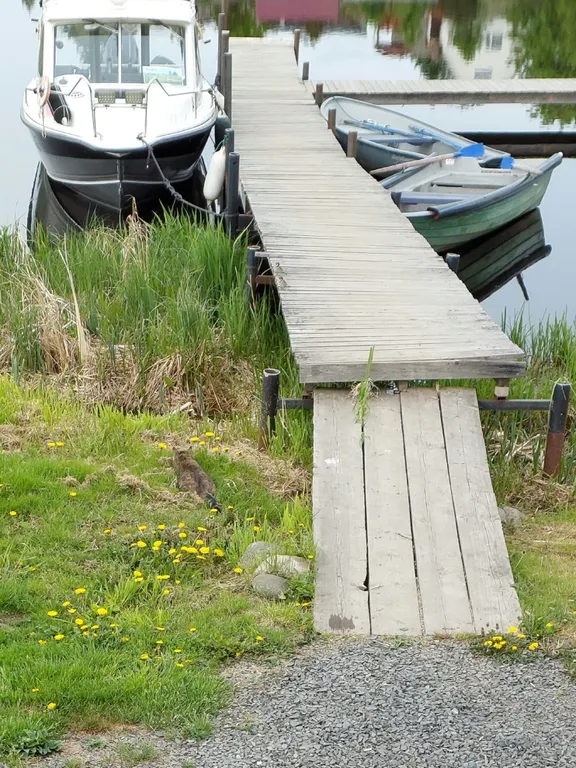 Коттедж Дом с камином и кондиционером — Мережнаволок