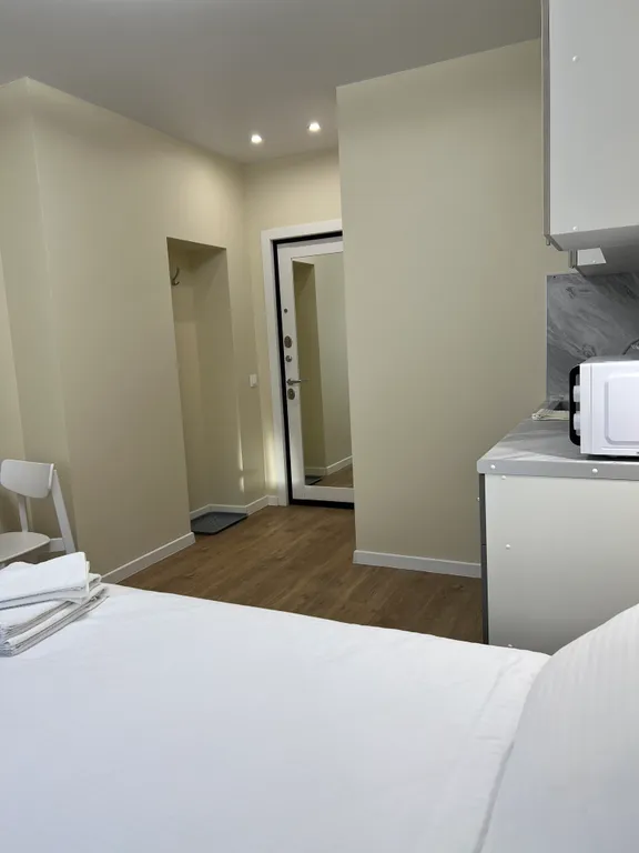 Уютная студия в центре города