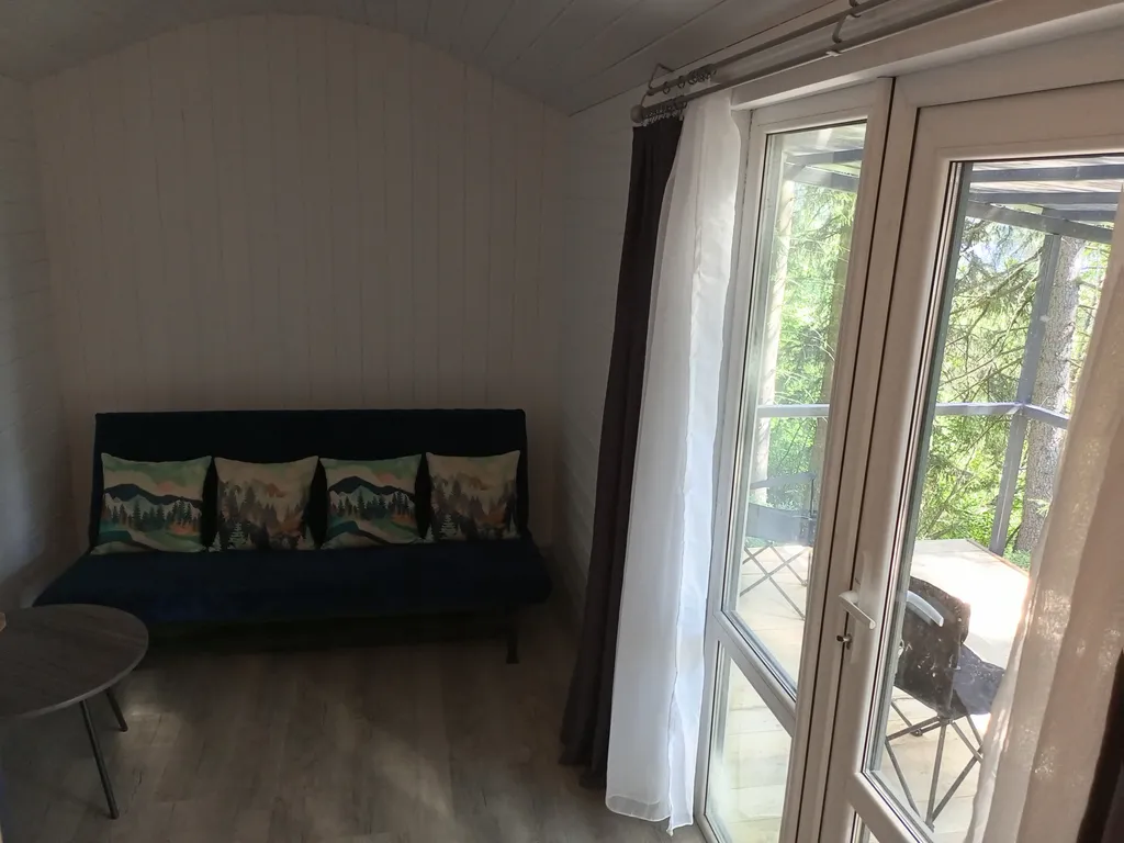 Домики на берегу Ладоги среди векового леса