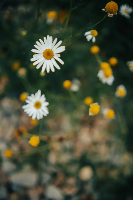 Дом с видом на озеро рядом с Ладожскими шхерами