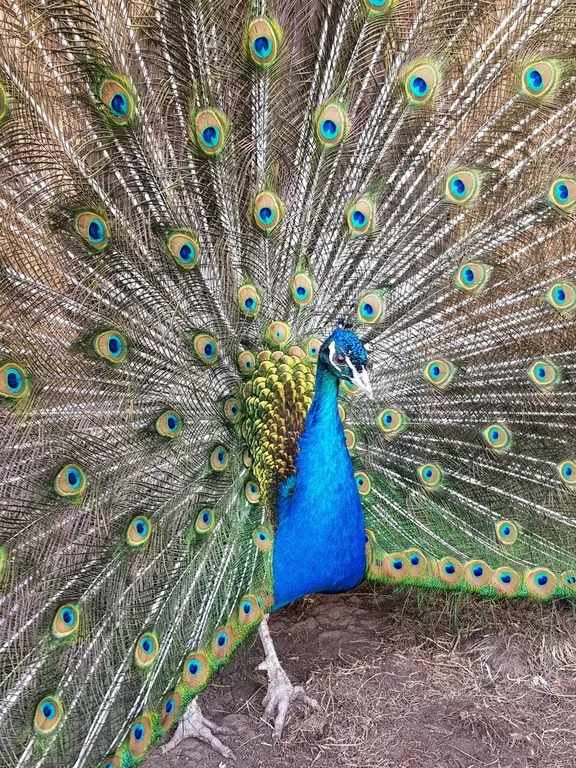 Дом-дача дизайнера на озере Увильды