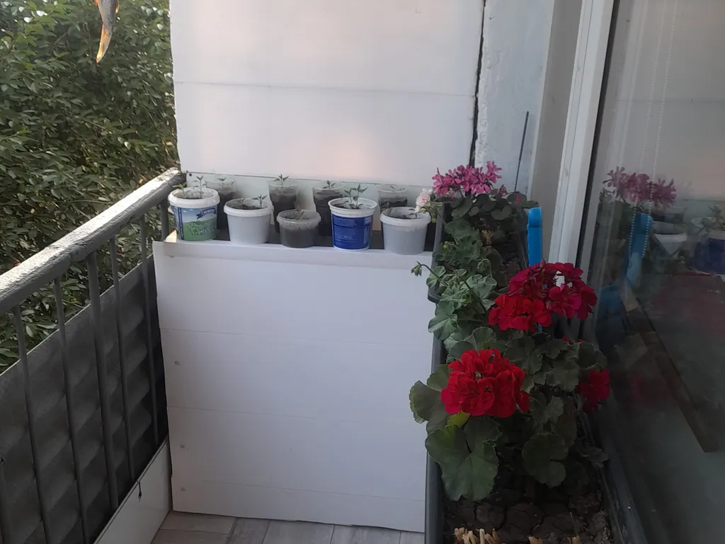 Уютная квартира в близи моря