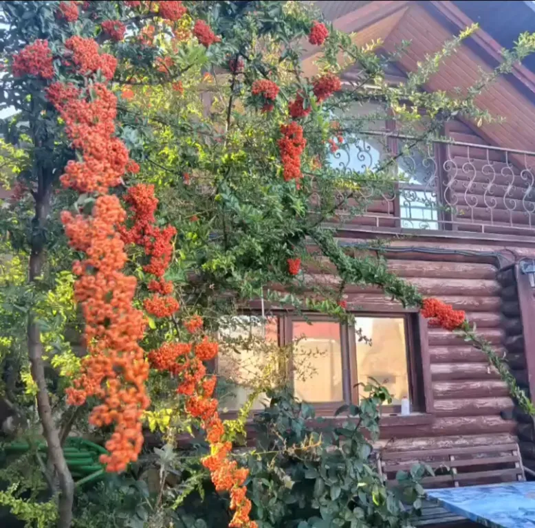 Отдельный дом с бассейном, мангальной зоной и купелью