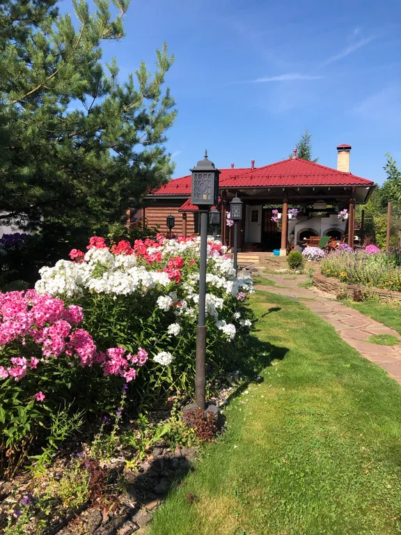 Дом у соснового леса