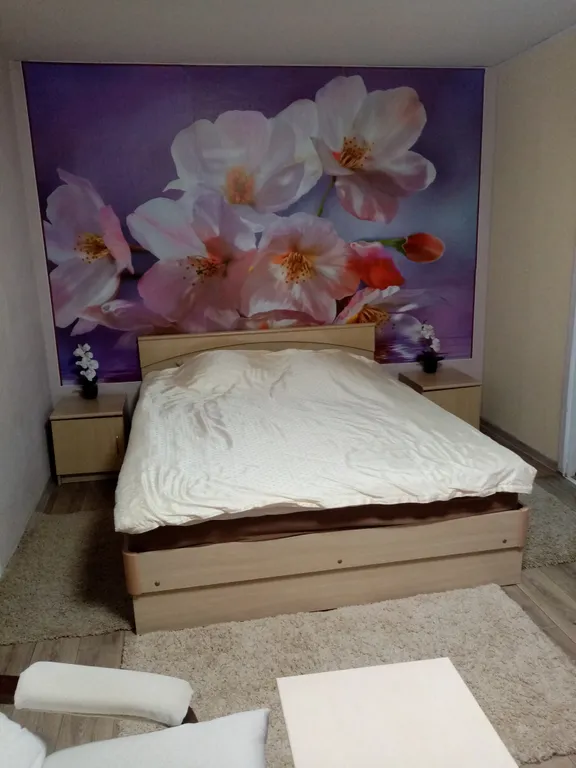 Уютная квартира в центре города, три - комнаты — аренда посуточно в Шуя