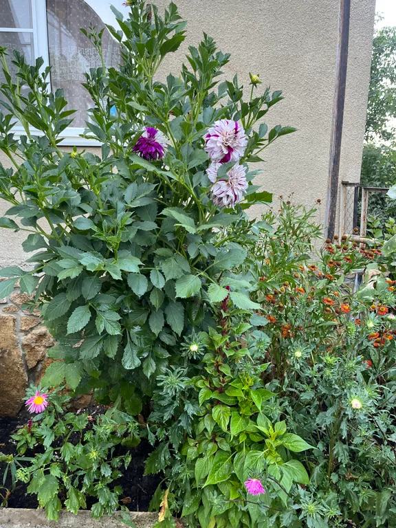 Коттедж Дом рядом с парком — Кисловодск