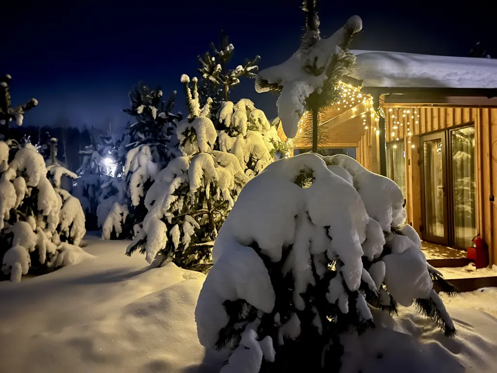 Коттедж 44м в лесу у пруда