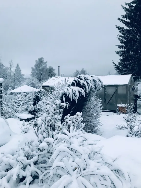 Три Галки Дом в саду