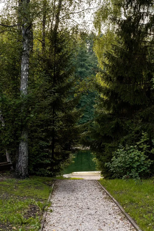 Уютный дом с сауной в лесу