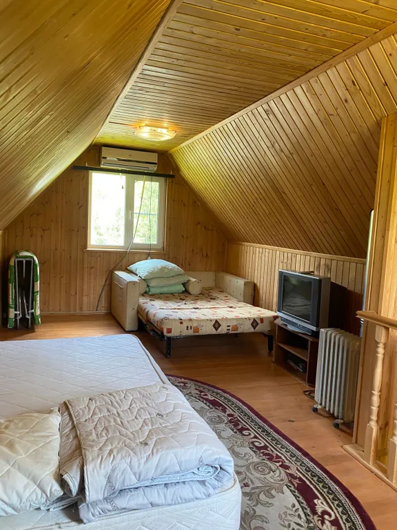 Выход из суеты - не дача Бобёр и Соловьи