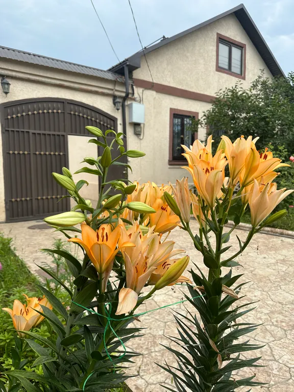 Частный дом у моря, до пляжа  2 мин пешком. Отличная локация.