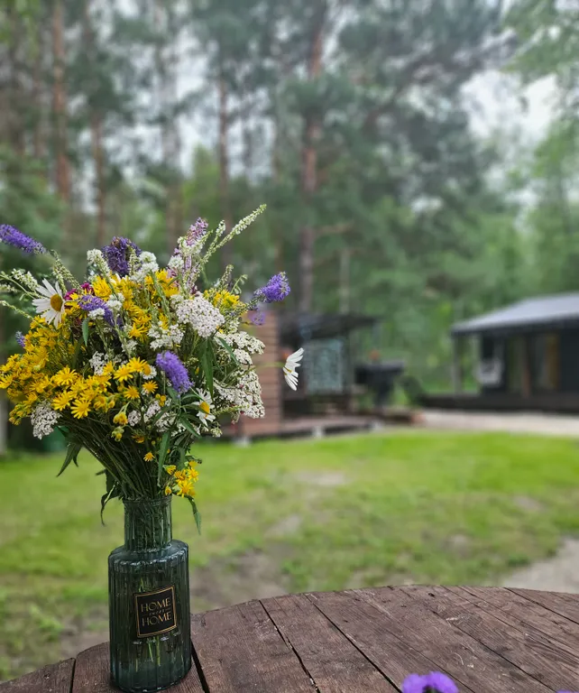 Загородный дом под соснами с сауной и чаном