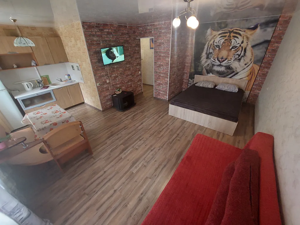 Mr Тигрович в центральном центре