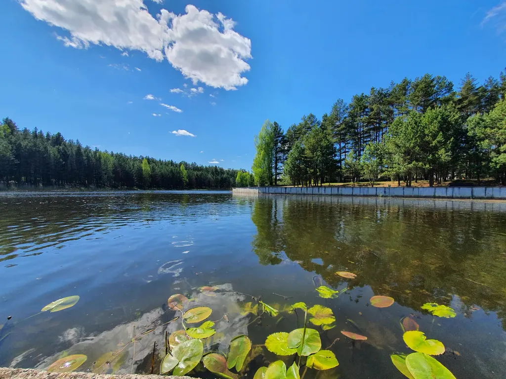 Апартамент на территории санатория Радон