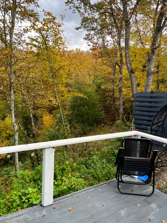 Уютный домик на опушке леса