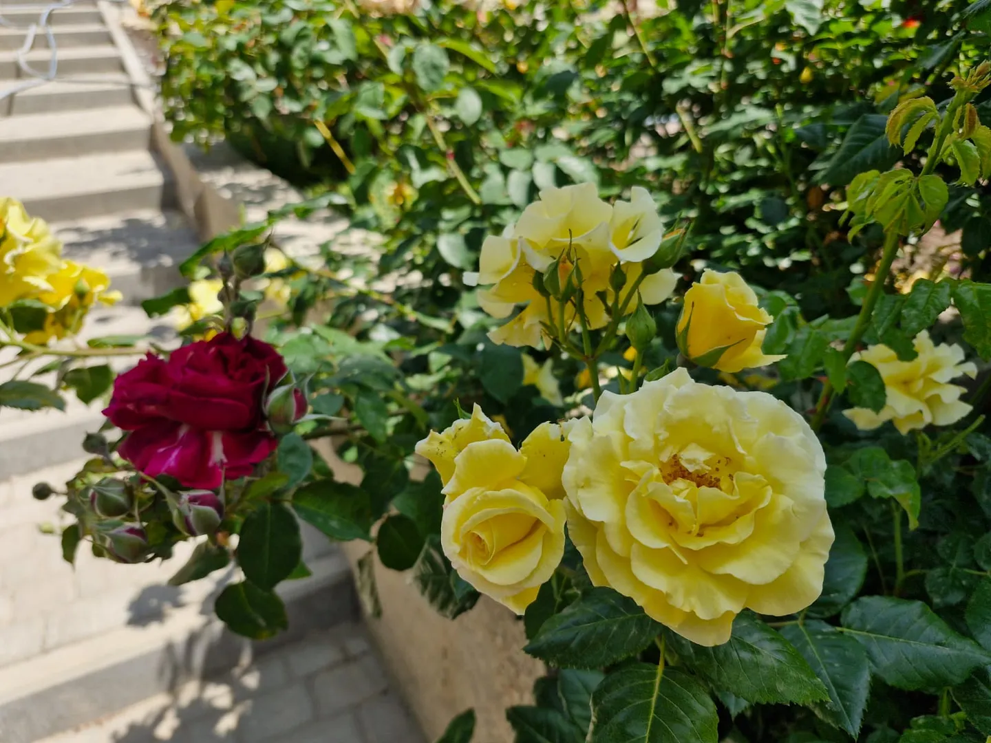 Фото