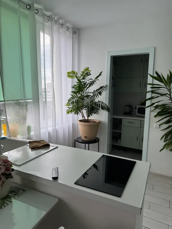 Шикарная студия с выходом на собственную крышу с садовой мебелью