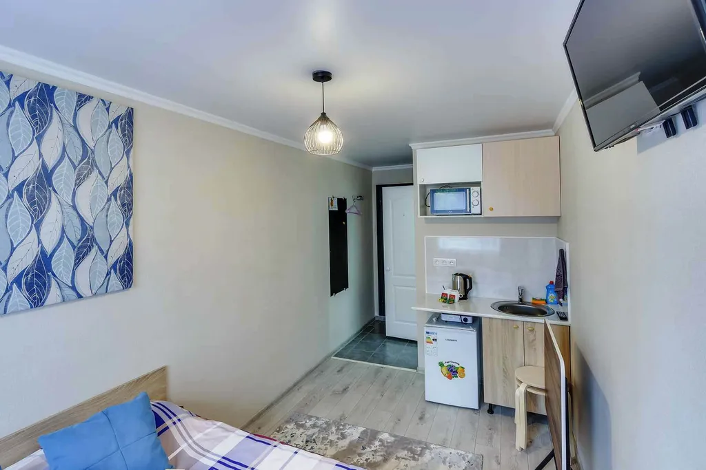 Студия — комната с мини-кухней и собственным санузлом