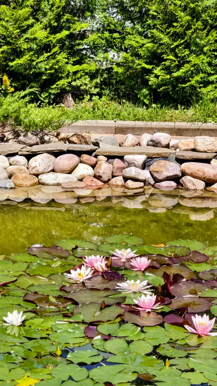 Романтика среди сосен!