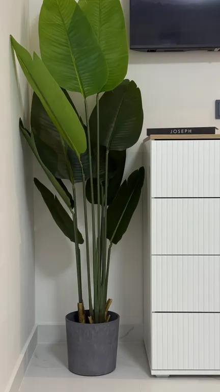 Квартира на берегу моря