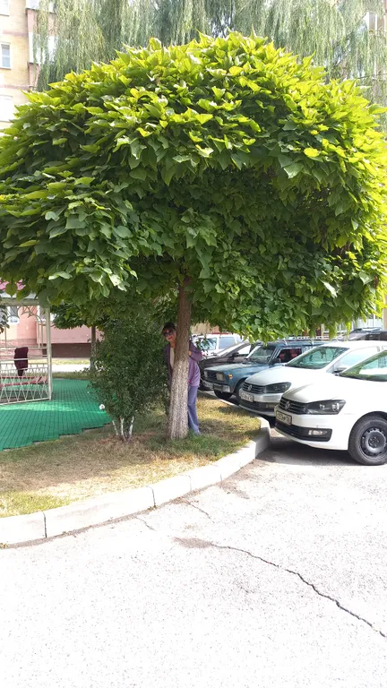 Уютная квартира удаленная от центральных дорог