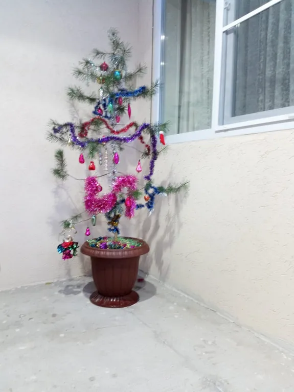 Уютная квартира в центре города, с прекрасным видом на горы