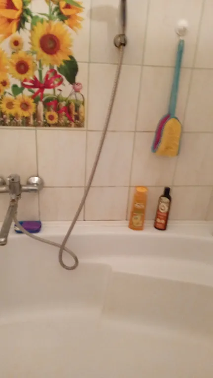 Чистая уютная квартира на берегу Балтийского моря