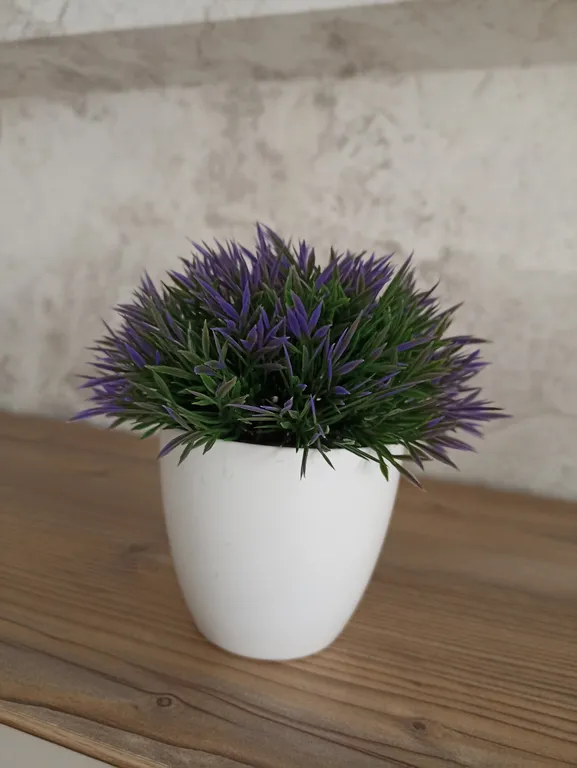 Дизайнерская студия у ФОК Арена