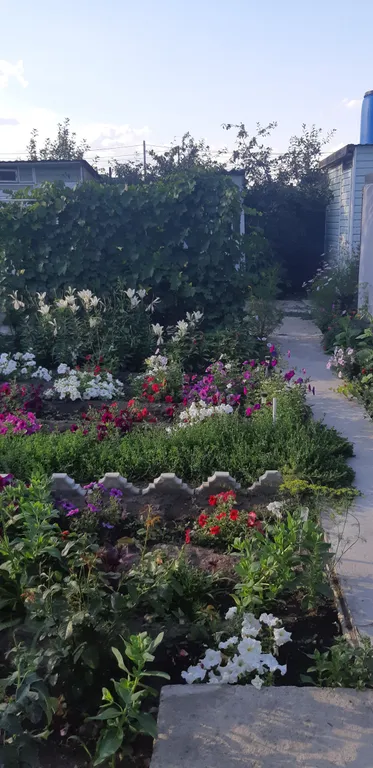 Трехместная комната с отдельным входом