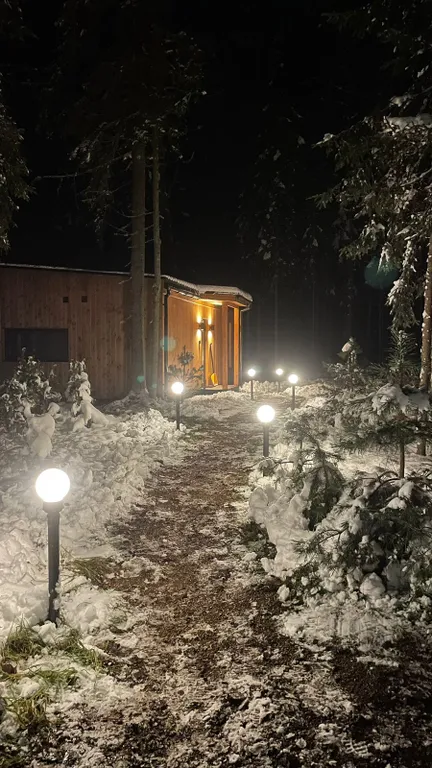 Коттедж Домик в лесу у озера для семейного отдыха — Турбаза Чайка