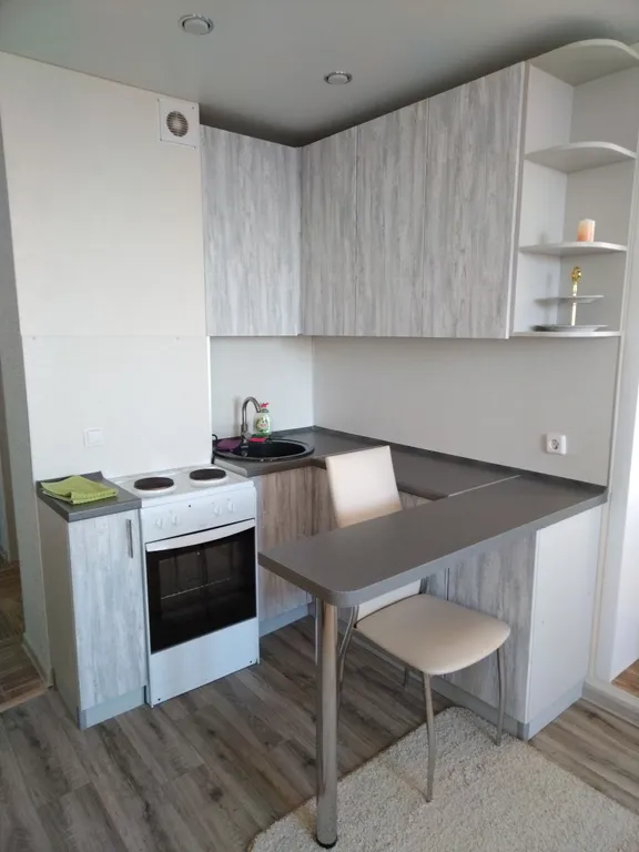 Уютная студия на Ленина 195а, с красивым видом из окна