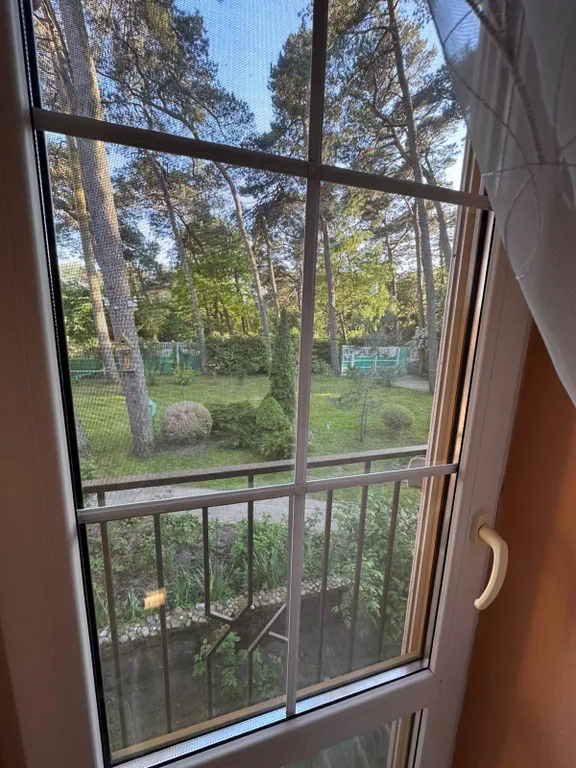 Сказочный домик в лесу, у моря