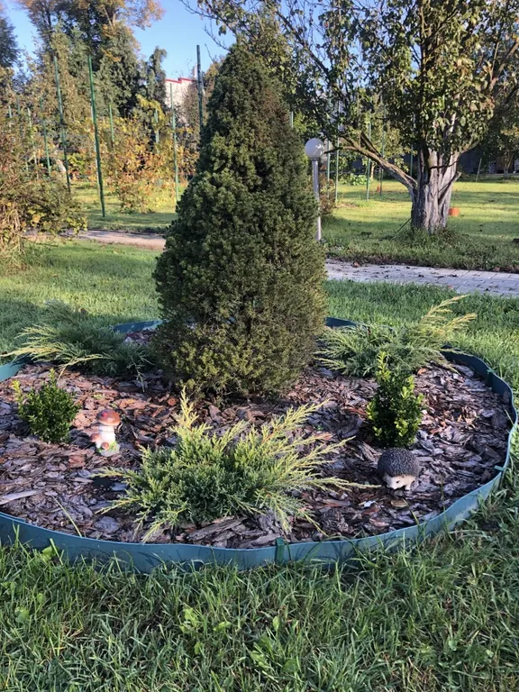 Домик у озера (с баней и сибирским чаном)