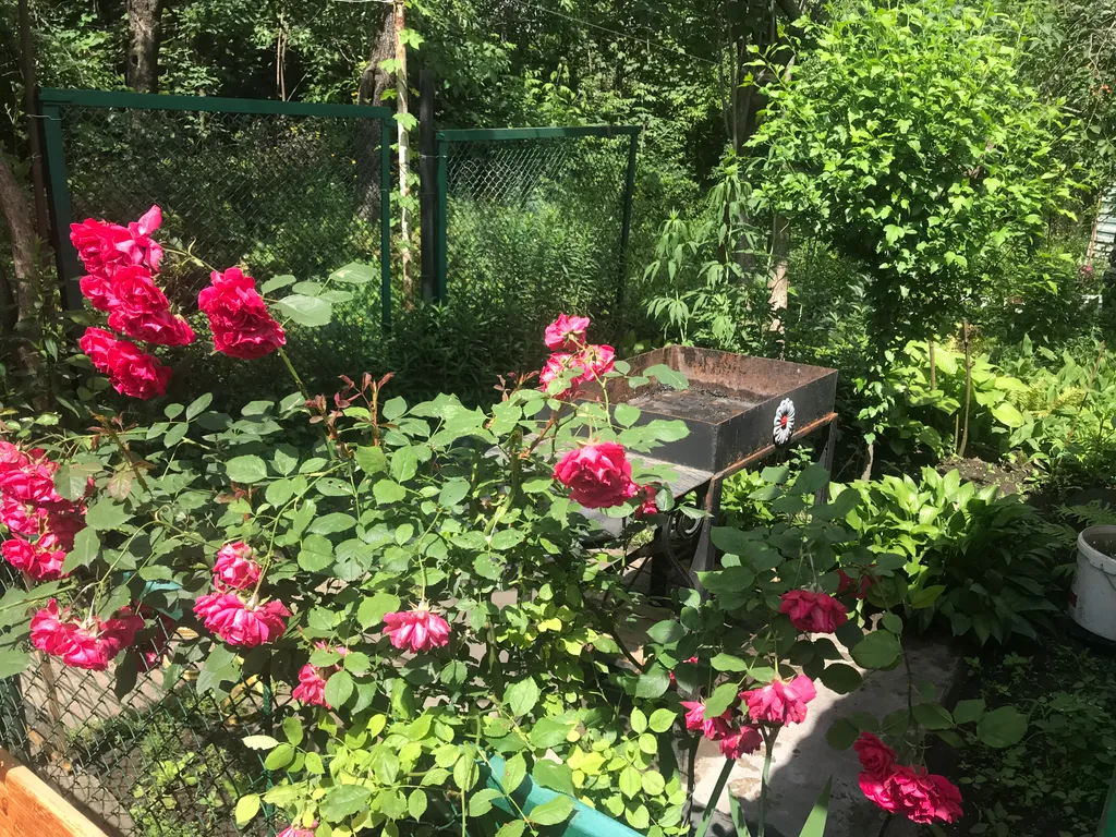 Коттедж Часть Дома с двориком — Кисловодск